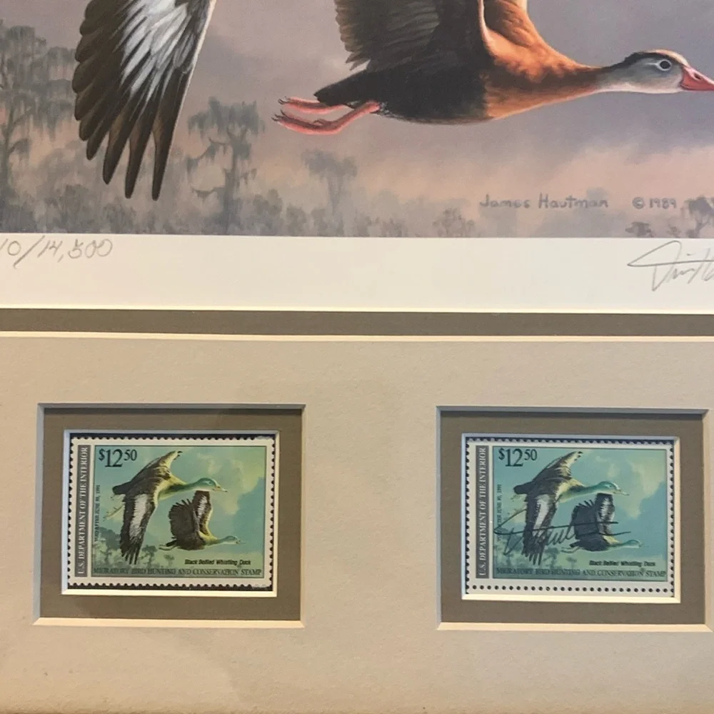 1989 Migratory Bird Hunting Duck Stamp Printd